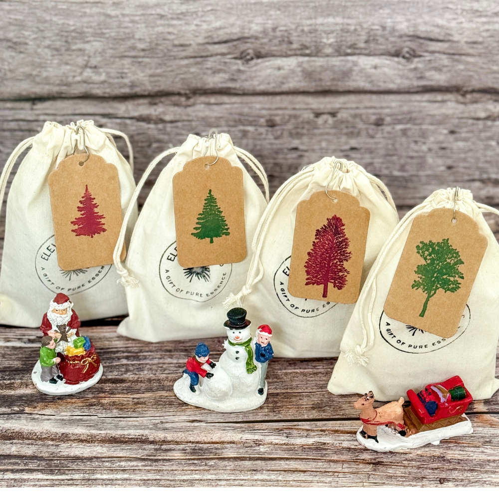 Everyday Gifting (Wrapped for Christmas)